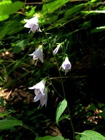160809-16.jpg