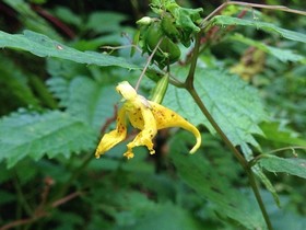 160809-17.jpg