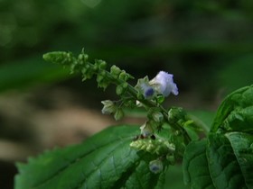 160809-18.jpg