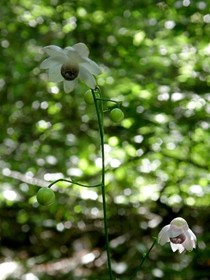 160809-19.jpg