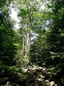 160809-2.jpg