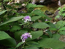 160809-5.jpg