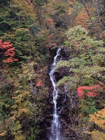 161102-11.jpg
