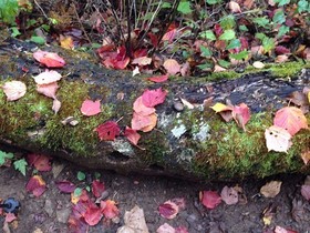 161102-12.jpg