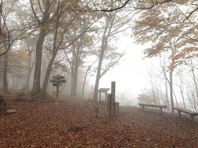 161102-16.jpg
