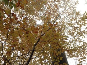 161102-18.jpg