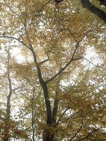 161102-19.jpg