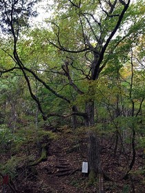 161102-20.jpg