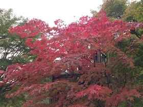 161102-21.jpg