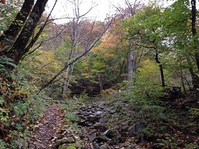 161102-23.jpg