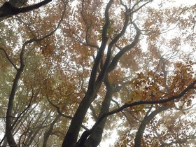 161102-24.jpg