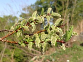180515-14.jpg