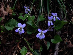 180515-16.jpg