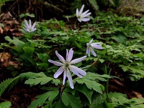 180515-17.jpg
