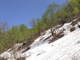 180515-8.jpg